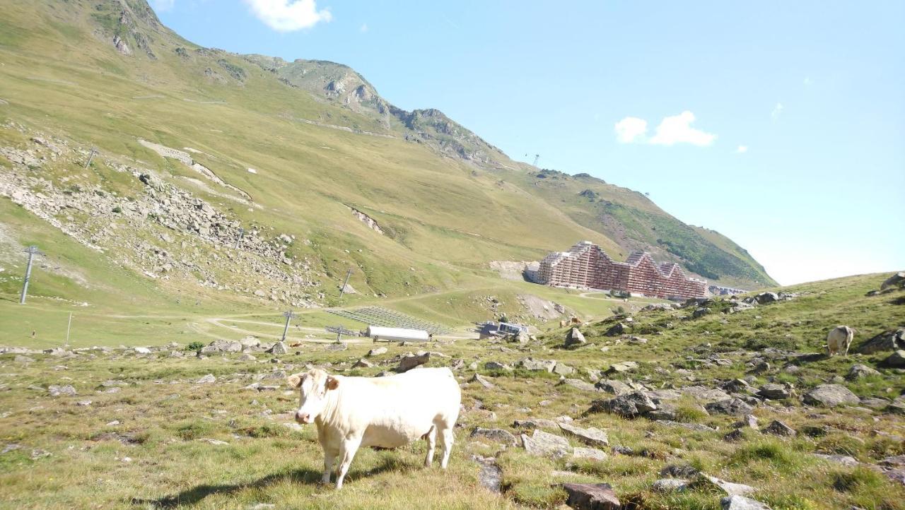 Studio En Pleine Montagne Avec Vue Sur Marmottes La Mongie Exterior photo